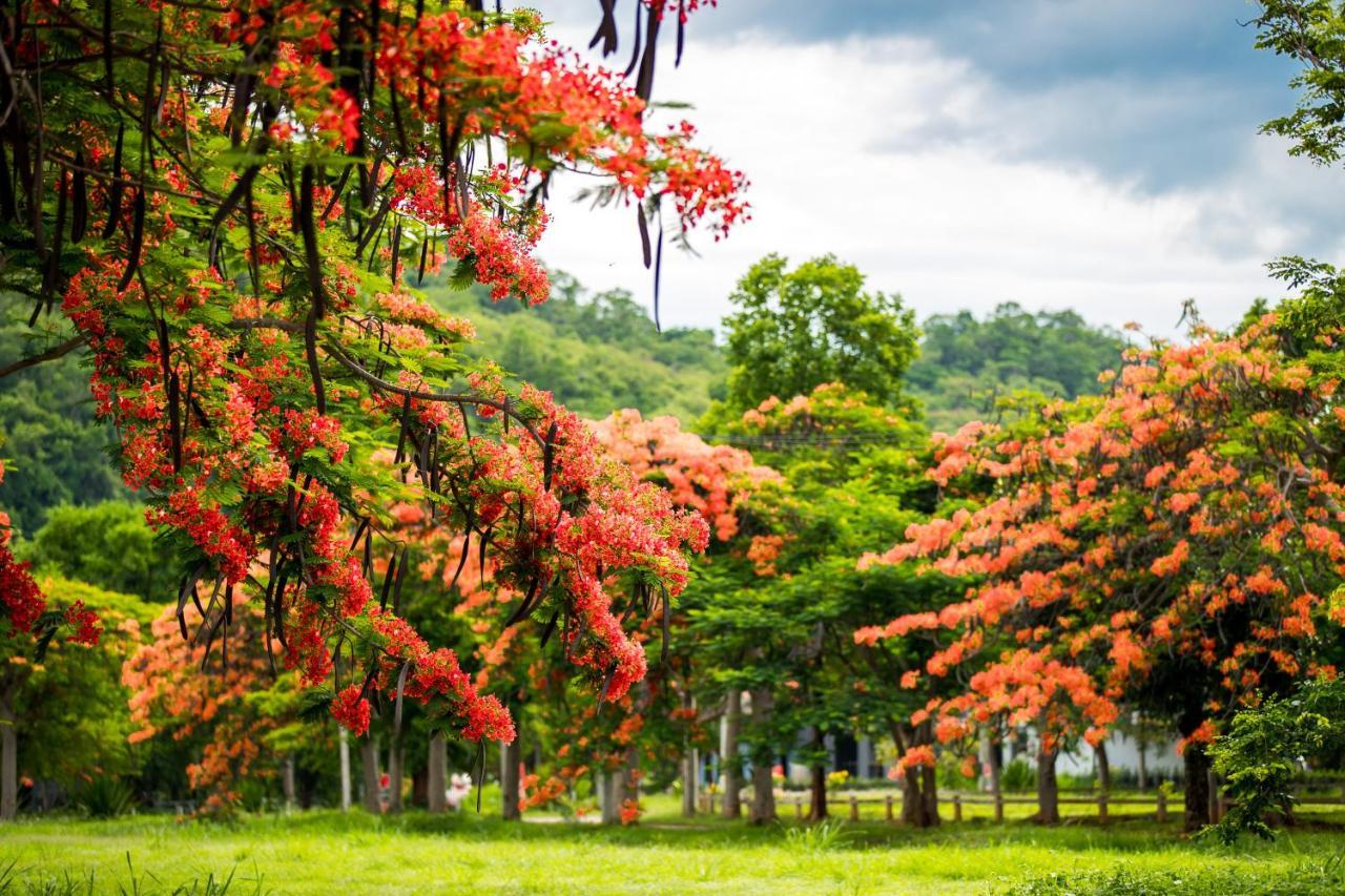 Diamond Hill Resort Nong Nam Daeng Bagian luar foto